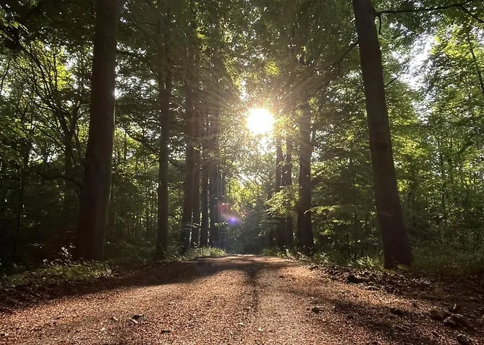 Domaine De Fontaine Châtel Hébergement de vacances Saint-Germain-des-Essourts